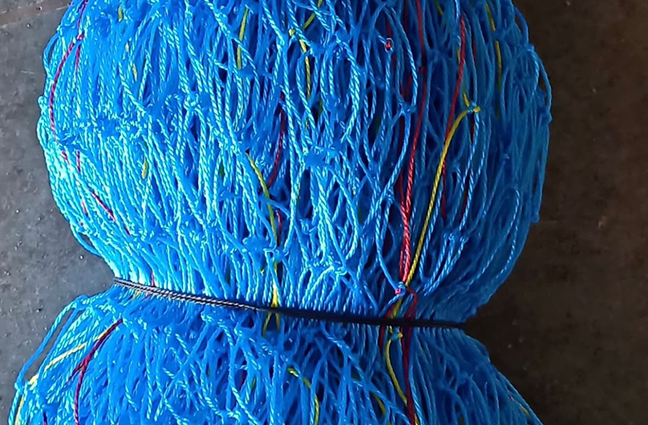 virgin blue net
